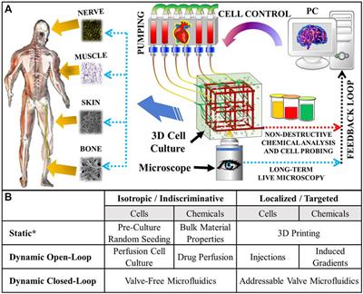 A Minireview of Microfluidic Scaffold Materials in Tissue Engineering